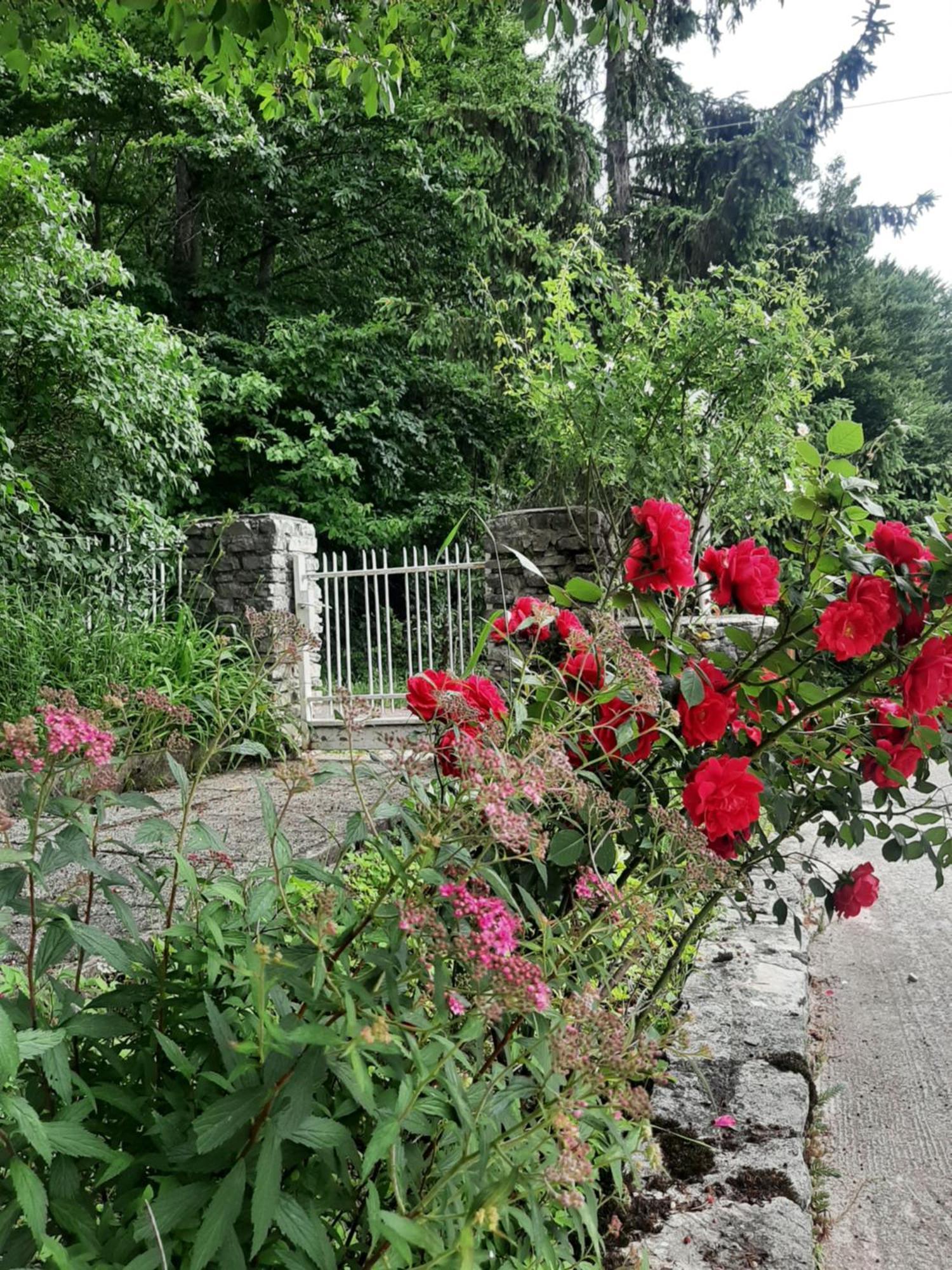 Plitvička Jezera Guesthouse Nikola מראה חיצוני תמונה