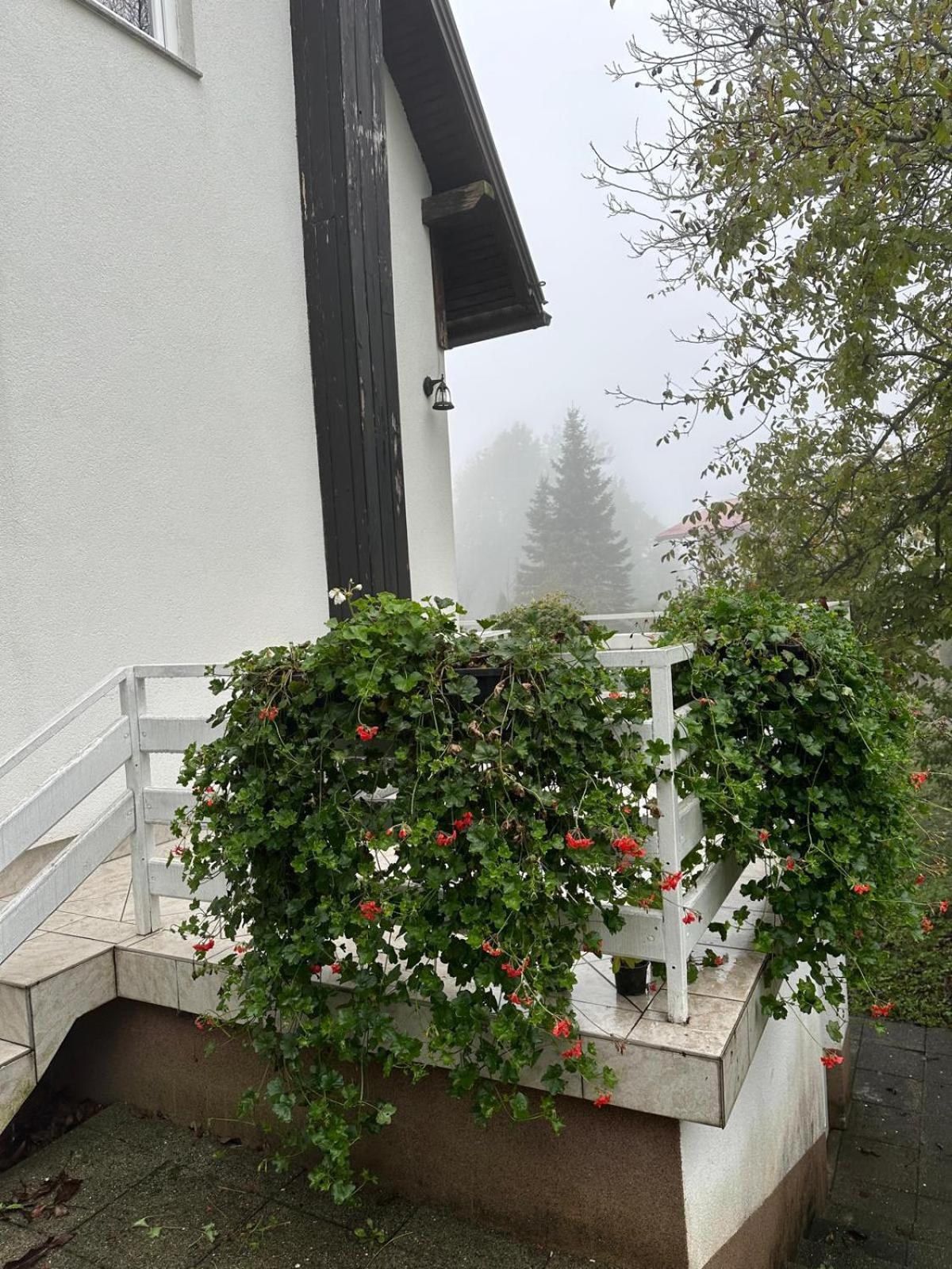 Plitvička Jezera Guesthouse Nikola מראה חיצוני תמונה